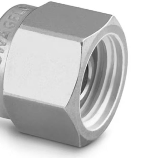 Stainless Steel Swagelok Tube Fitting, Plug, 1/16 in. Tube OD. SS-100-P