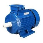 GO GEARS Electric Motor WEX3 200L2-2-37 & YB-200-B3 37KW, 415V, 50Hz, IE3, 2968RPM