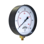 P1S 100 Series Pressure Gauge P1S230