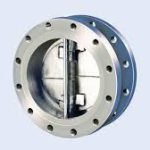DUO-CHEK 10 wafer check valve with WCB body