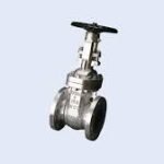 Crane Stockham Valve Ltd 36" SPG 125/300STD Inconel X-750 spring