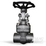 Dervos Gate Valve 16 Inch 300LB WCB Gear Operated