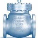 Bonney Forge 2 inch 150# Wing Check Valve 316SS with Grafoil sealing