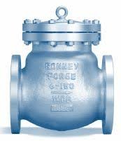 Bonney Forge 2 inch 150# Wing Check Valve 316SS with Grafoil sealing