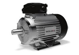 WOLONG Electric Motor 350 HP 4000VWOLONG Electric Motor, 350 HP, 4000V, 3-phase, CGIIF enclosure, foot mount, 3570 RPM, 70 mm shaft