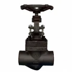 Douglous Chero Globe Valve S DCGLF014