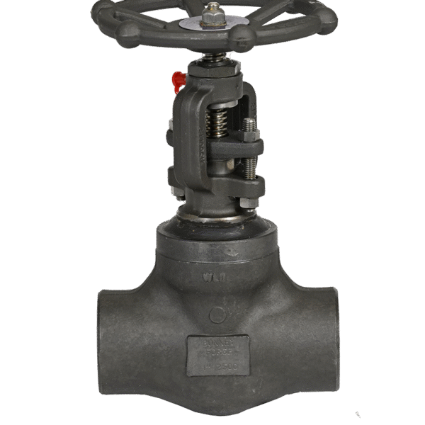 Bonney Valve Globe 1 1/2" 800# F316L THD HFS BB HL-38L-T-LE