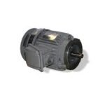TECO 10 HP Electric Motor EPV0102C
