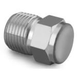 Swagelok SS‑16‑P 1 inch MNPT stainless steel pipe plug