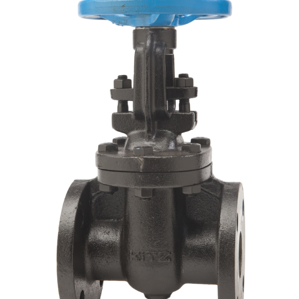 KITZ 300UMHAMBG 6” Class 300 316SS RF Gate Valve – Industrial Isolation