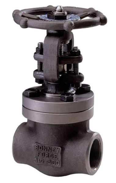Bonney Forge BFEGAS022-1 Gate Valve 1/2" 800# ASTM A105N