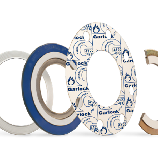 Garlock Therma-Pur 316L Series B gasket DOM0303070352003B 52 NPS